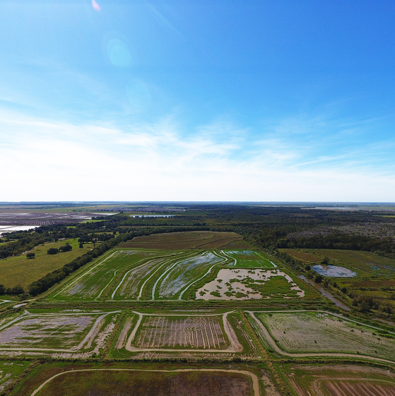 About Terra Development LLC